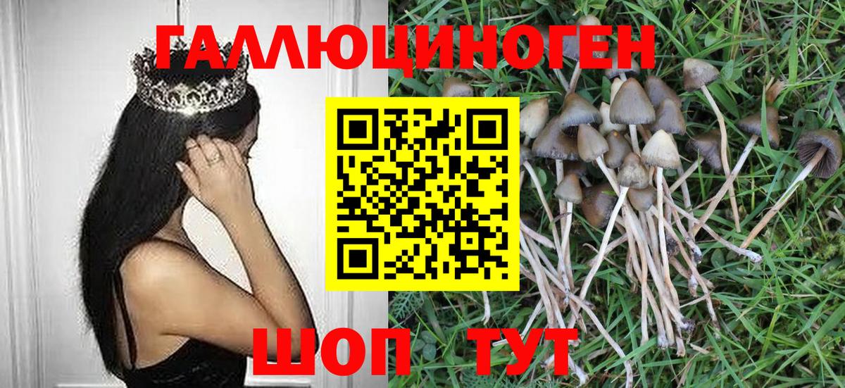 Псилоцибиновые грибы Magic Shrooms Уссурийск