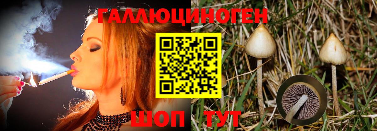 Уссурийск  Галлюциногенные грибы Psilocybine cubensis  Вход с VPN  Галлюциногенные грибы мицелий 
